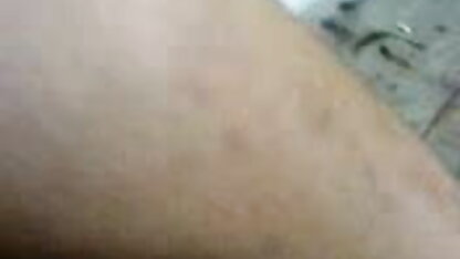 संग्रह bumblebees लूसिया इंग्लिश पिक्चर इंग्लिश सेक्स माया