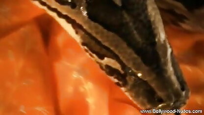 लुसी प्यार-और पंप फूहड़ इंग्लिश हिंदी मूवी सेक्सी 1080पी
