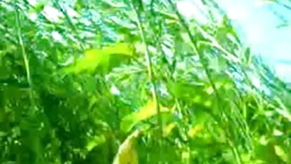 कूल ब्यूटीफुल सेक्सी वीडियो इंग्लिश मूवी मेगा नाइस गोल्ड कलेक्शन ताकतवर । भाग 3.
